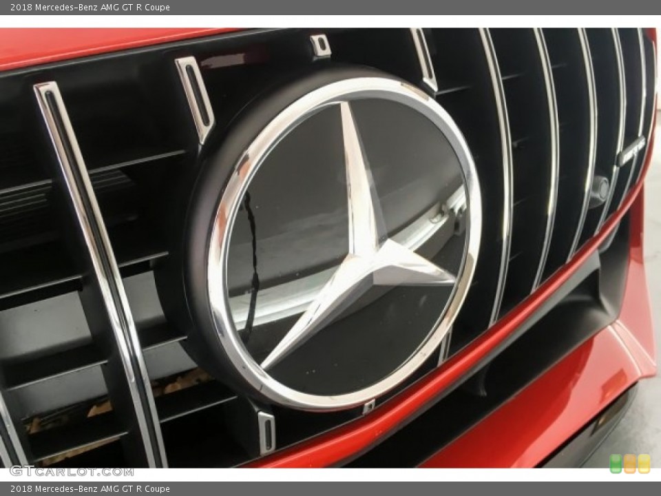 2018 Mercedes-Benz AMG GT Custom Badge and Logo Photo #130207615