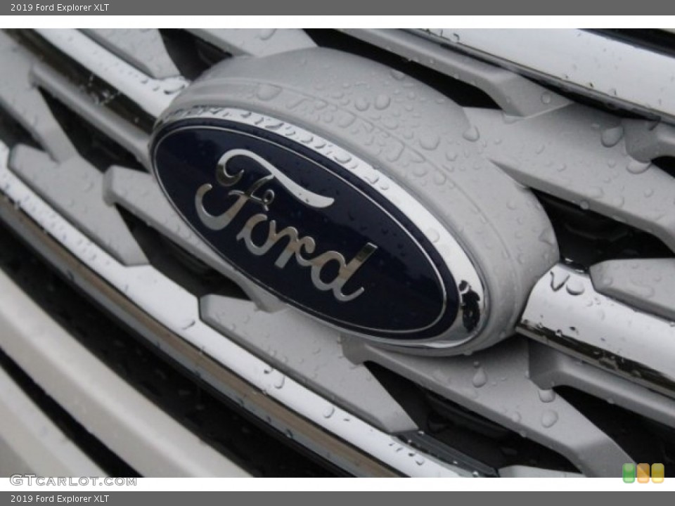 2019 Ford Explorer Custom Badge and Logo Photo #130246907