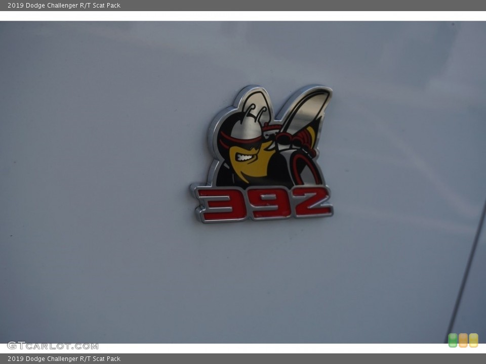 2019 Dodge Challenger Custom Badge and Logo Photo #130597695