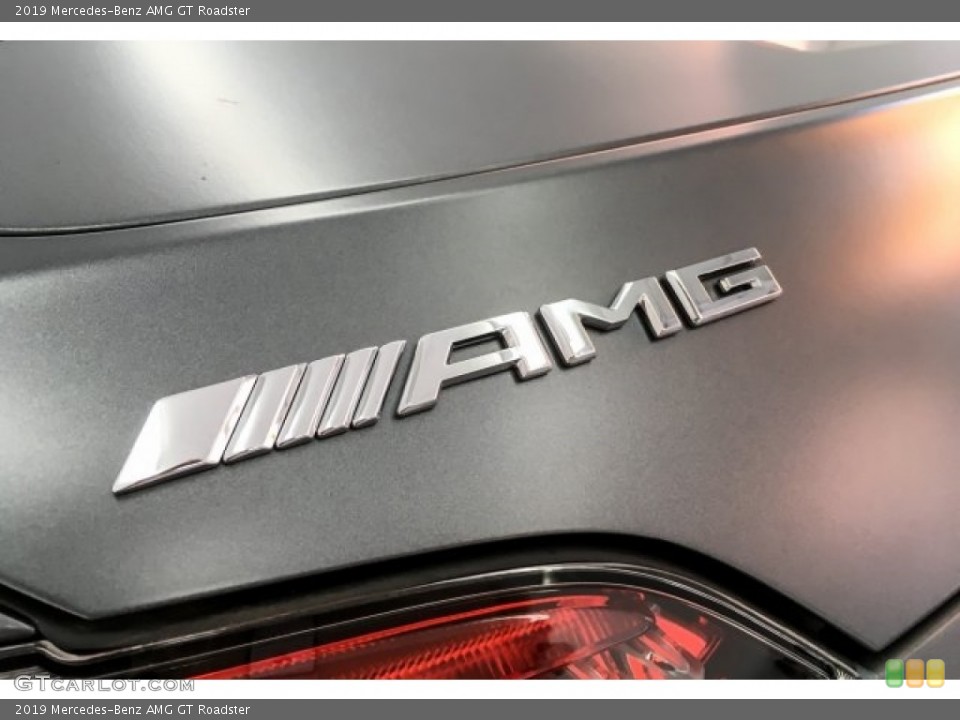2019 Mercedes-Benz AMG GT Custom Badge and Logo Photo #130710626