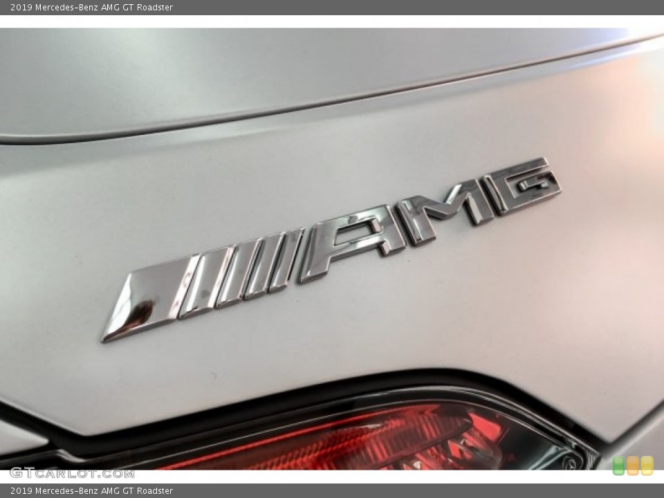 2019 Mercedes-Benz AMG GT Custom Badge and Logo Photo #130711171
