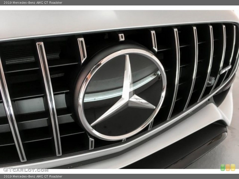 2019 Mercedes-Benz AMG GT Custom Badge and Logo Photo #130711547
