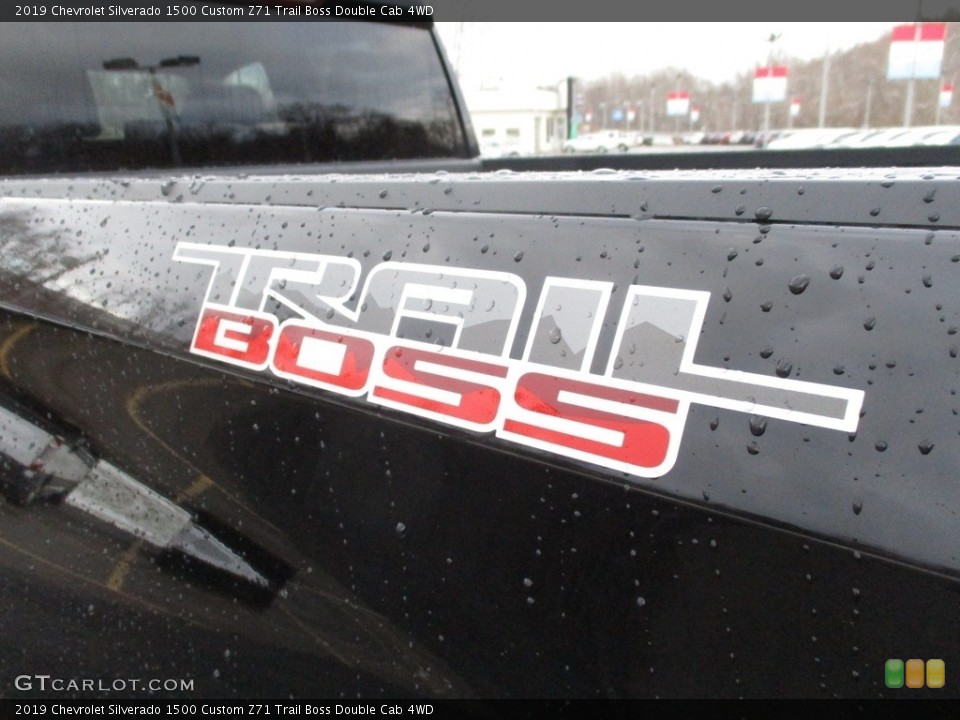 2019 Chevrolet Silverado 1500 Custom Badge and Logo Photo #130786323