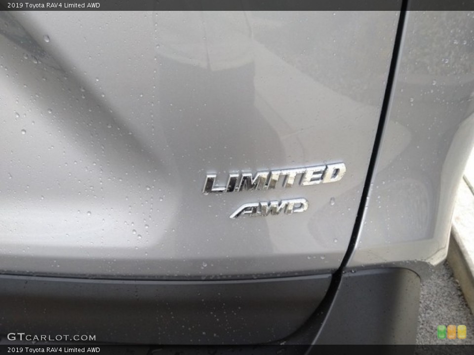 2019 Toyota RAV4 Custom Badge and Logo Photo #131252940