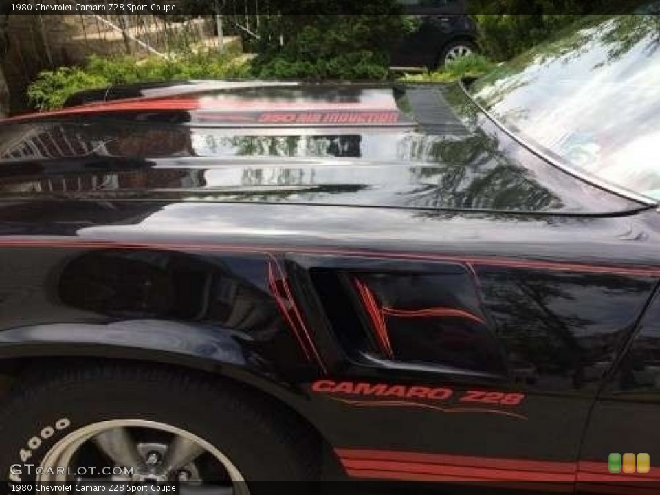 1980 Chevrolet Camaro Custom Badge and Logo Photo #131368799