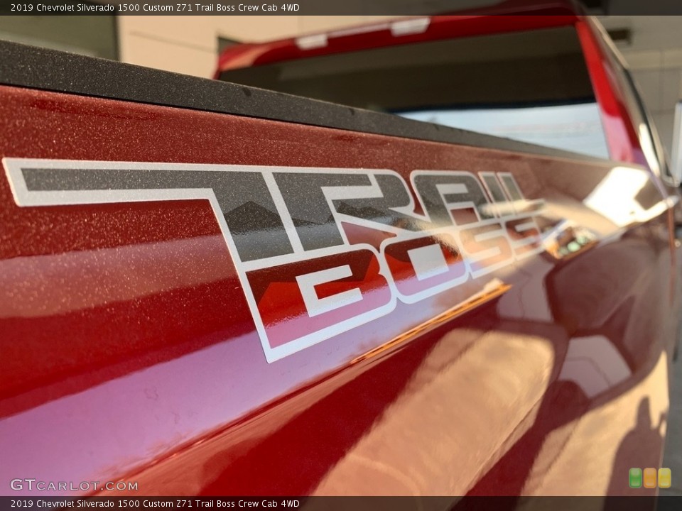 2019 Chevrolet Silverado 1500 Custom Badge and Logo Photo #132679152