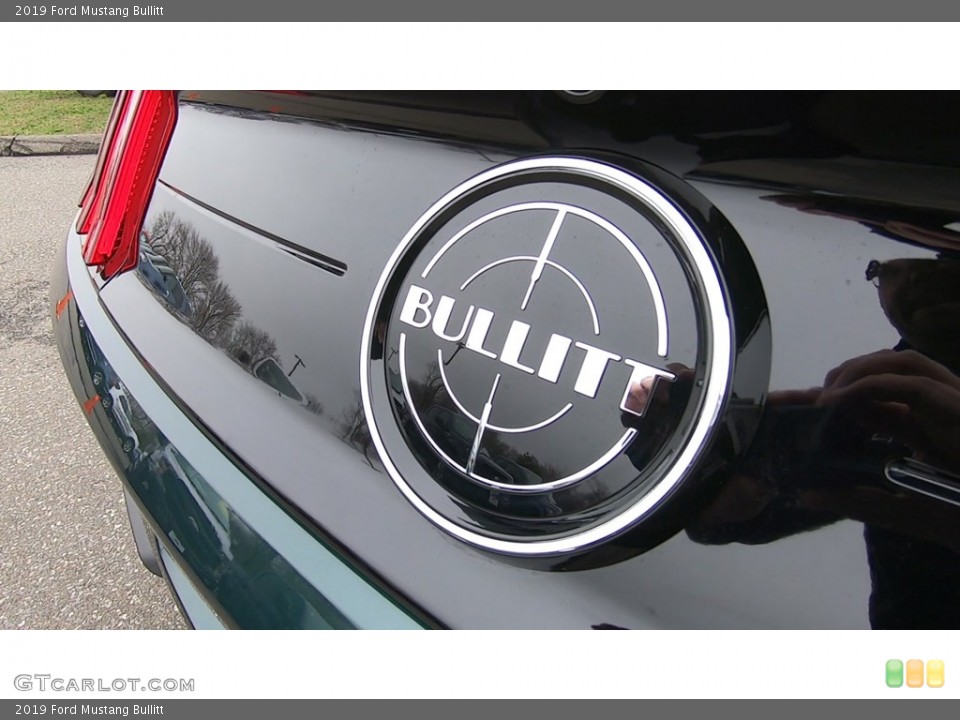 2019 Ford Mustang Custom Badge and Logo Photo #132859027