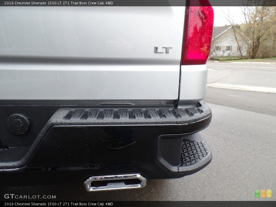 2019 Chevrolet Silverado 1500 Custom Badge and Logo Photo #132986126