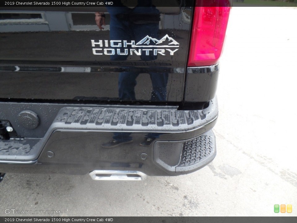 2019 Chevrolet Silverado 1500 Custom Badge and Logo Photo #133007681