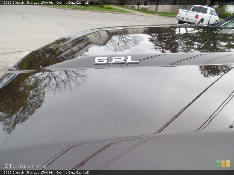 2019 Chevrolet Silverado 1500 Custom Badge and Logo Photo #133124651
