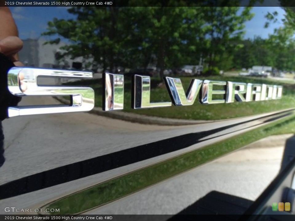 2019 Chevrolet Silverado 1500 Custom Badge and Logo Photo #133202256