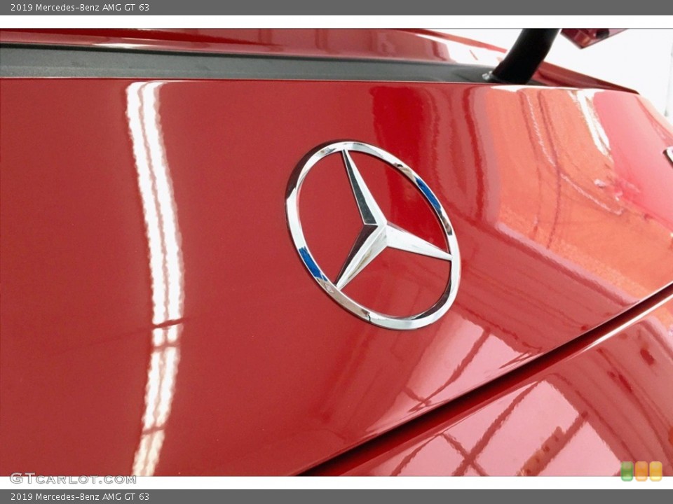 2019 Mercedes-Benz AMG GT Custom Badge and Logo Photo #133319322