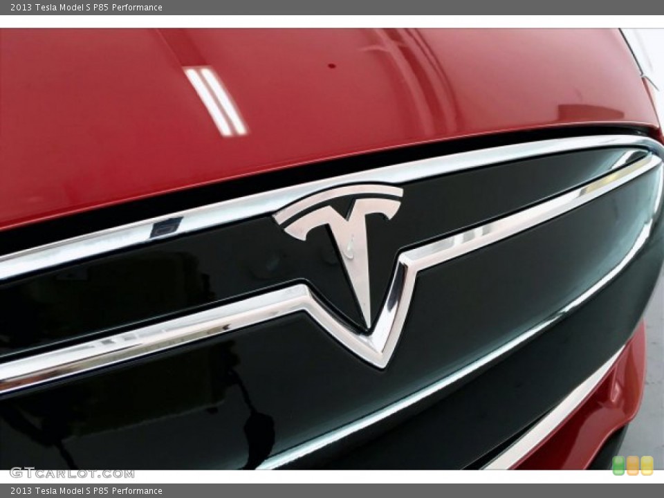 2013 Tesla Model S Custom Badge and Logo Photo #134335904