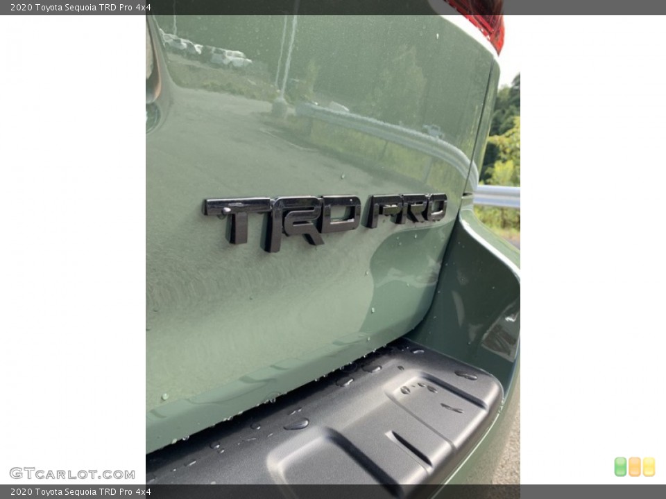2020 Toyota Sequoia Custom Badge and Logo Photo #135111038