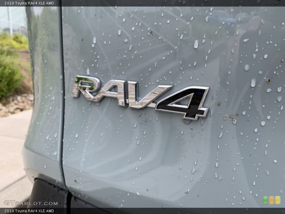 2019 Toyota RAV4 Custom Badge and Logo Photo #135325195
