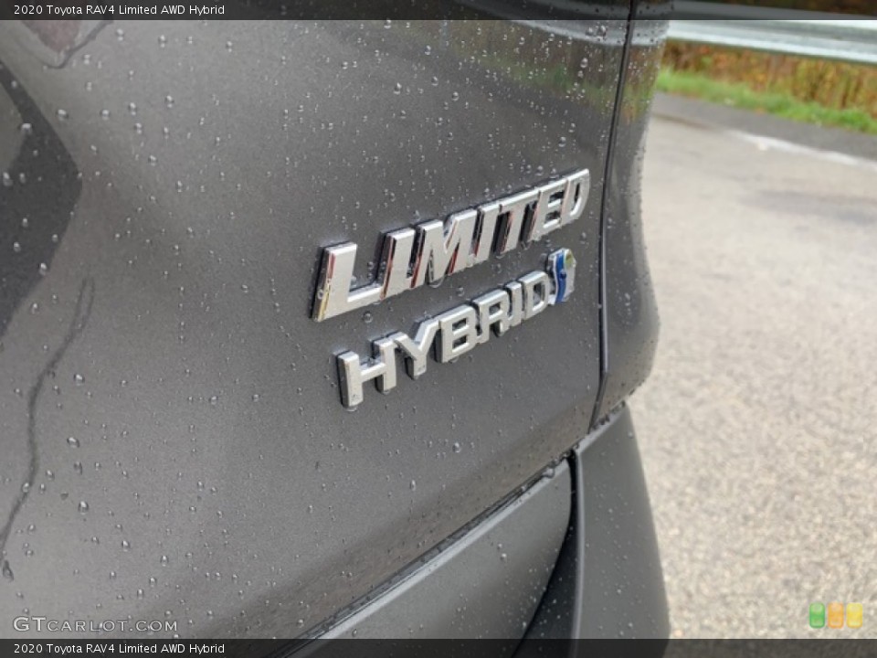 2020 Toyota RAV4 Custom Badge and Logo Photo #135866885