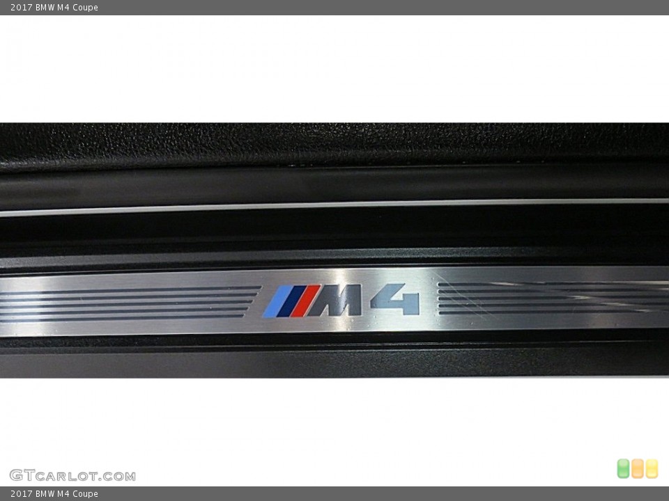 2017 BMW M4 Custom Badge and Logo Photo #136313868