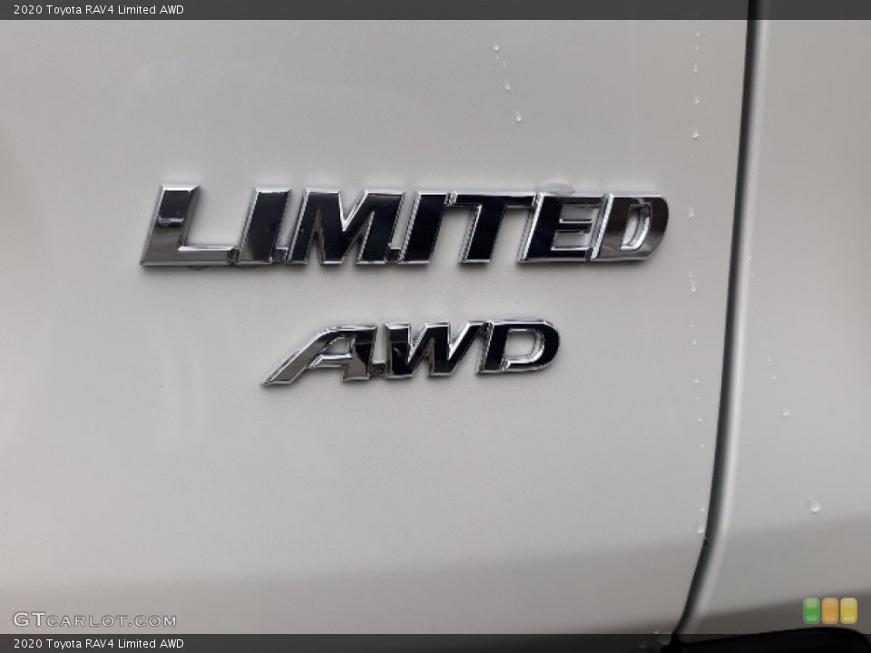 2020 Toyota RAV4 Custom Badge and Logo Photo #136345625