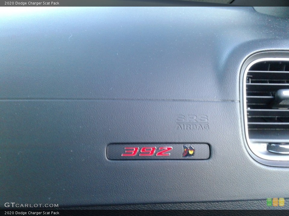 2020 Dodge Charger Custom Badge and Logo Photo #136596547