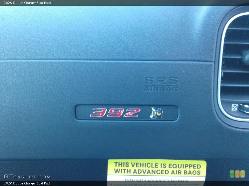 2020 Dodge Charger Custom Badge and Logo Photo #136636042
