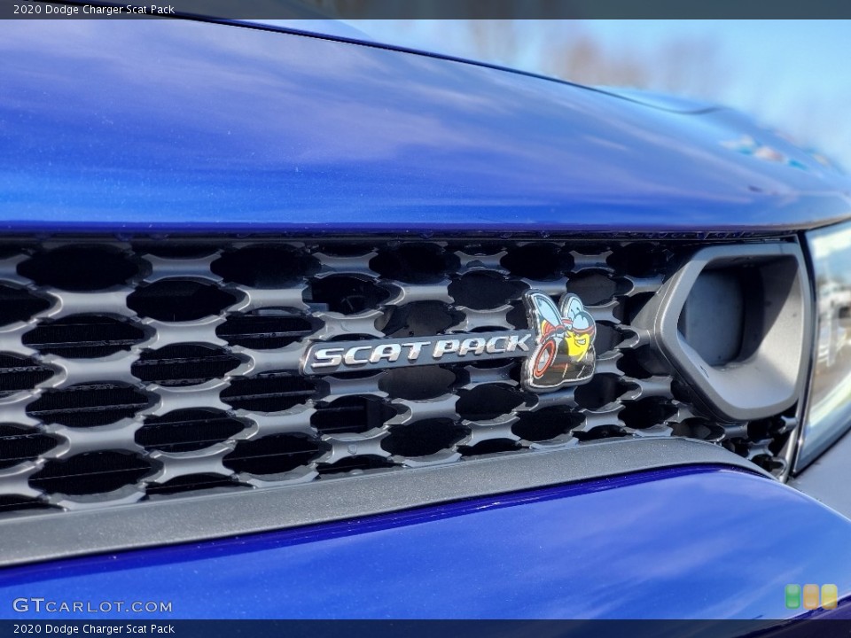 2020 Dodge Charger Custom Badge and Logo Photo #137342260