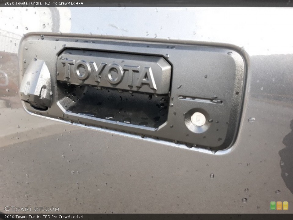 2020 Toyota Tundra Custom Badge and Logo Photo #137354119