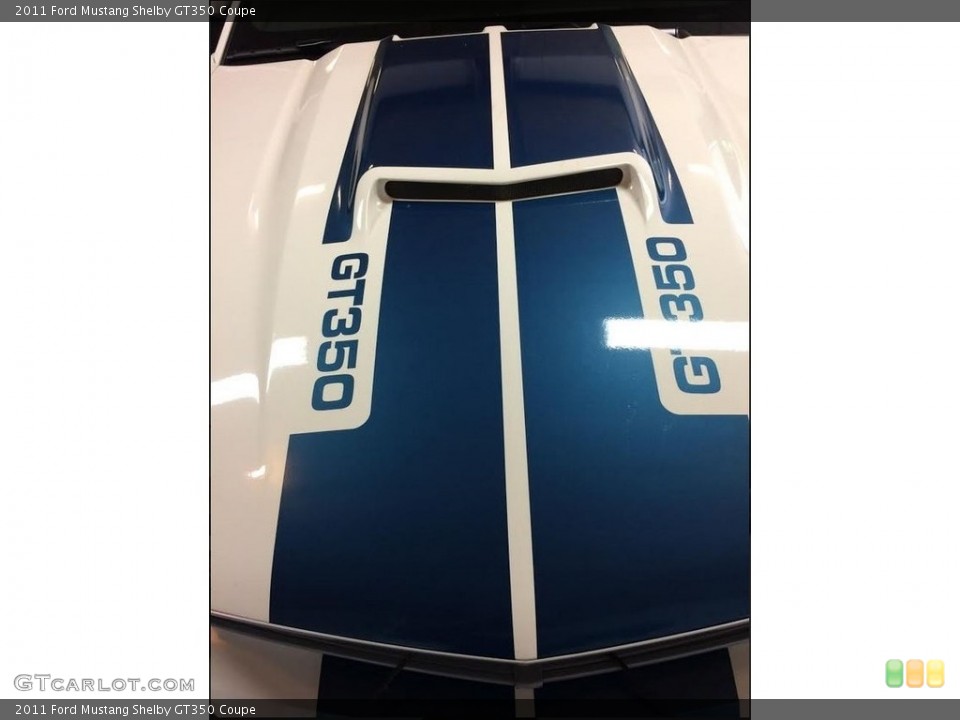 2011 Ford Mustang Custom Badge and Logo Photo #138490479