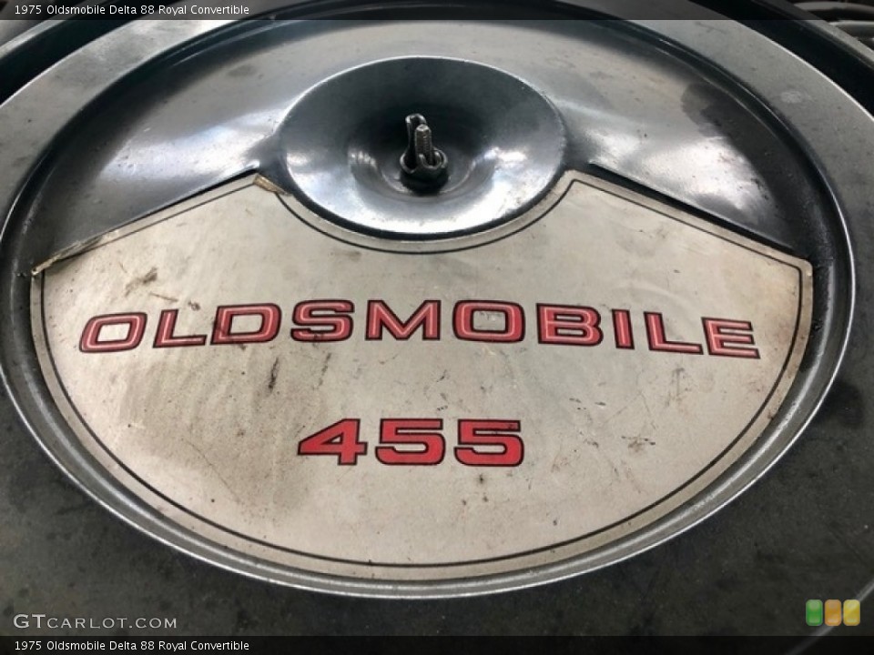 1975 Oldsmobile Delta 88 Custom Badge and Logo Photo #138568545