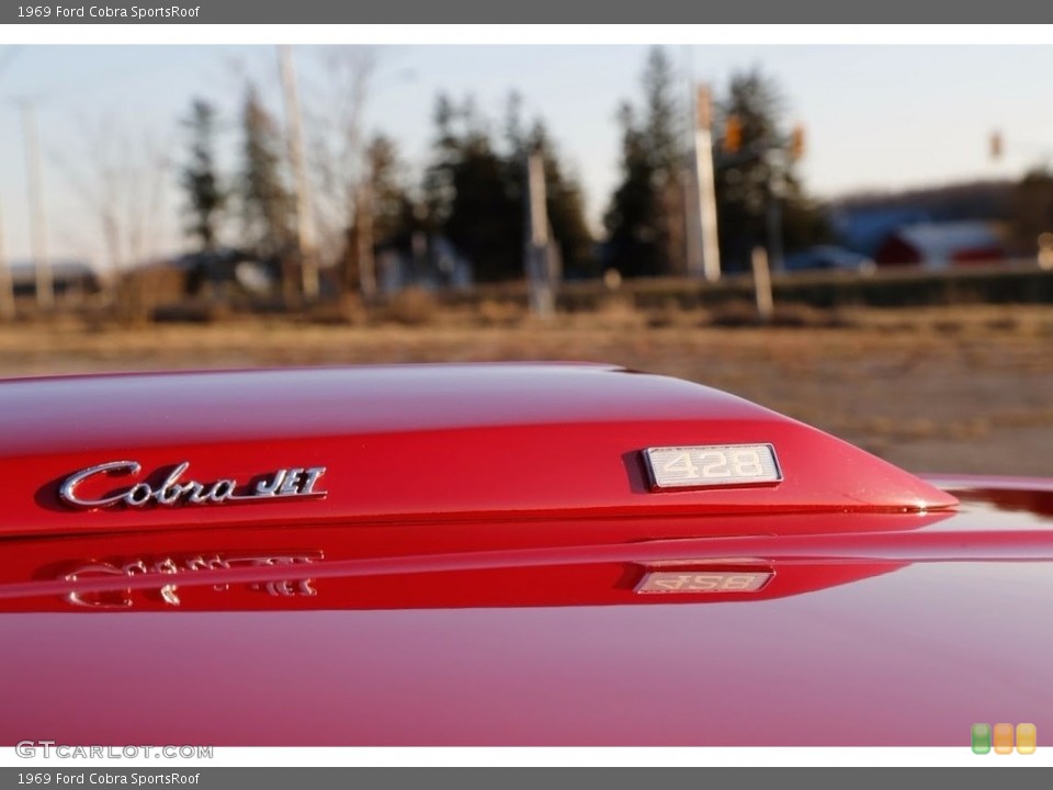 1969 Ford Cobra Custom Badge and Logo Photo #138573048