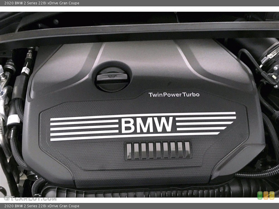 2020 BMW 2 Series Custom Badge and Logo Photo #138966252