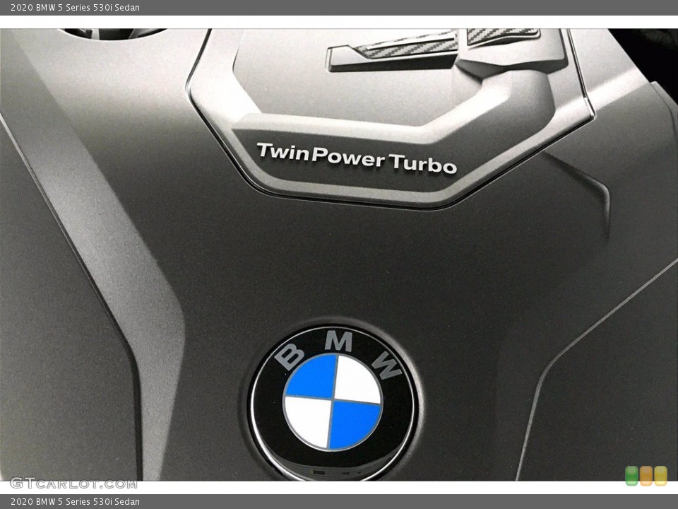 2020 BMW 5 Series Custom Badge and Logo Photo #139122214