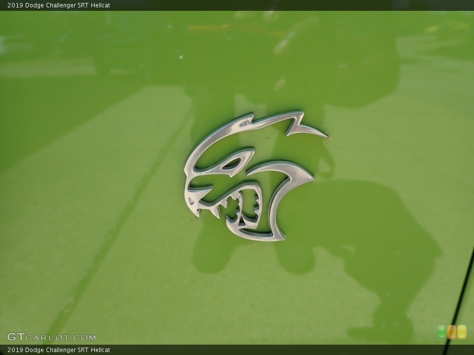 2019 Dodge Challenger Custom Badge and Logo Photo #139272950