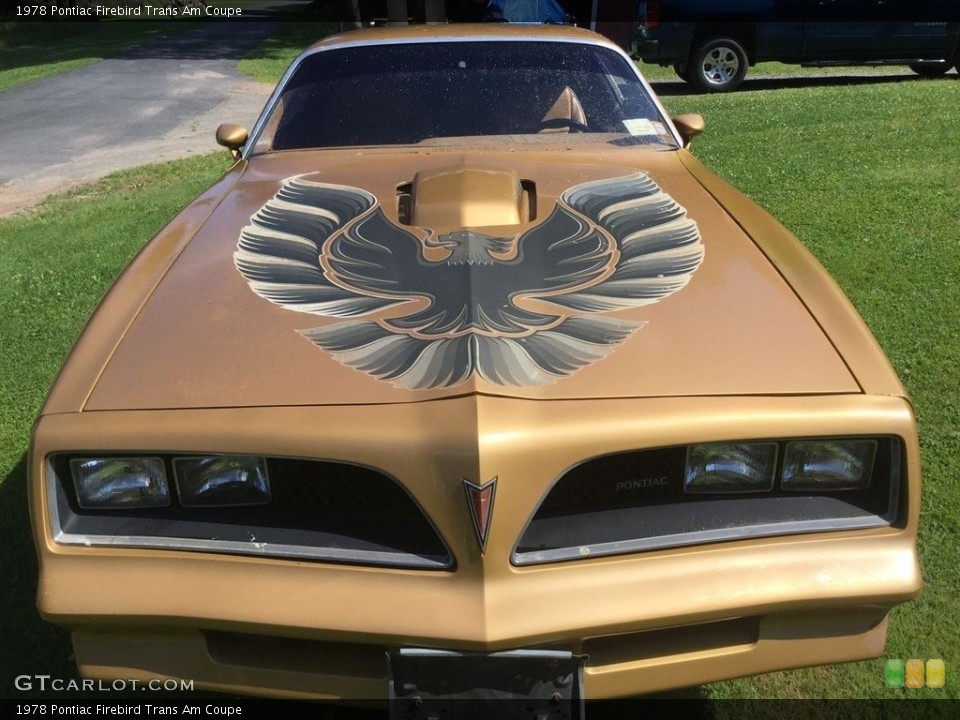 1978 Pontiac Firebird Custom Badge and Logo Photo #139381730