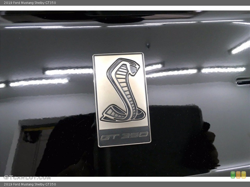 2019 Ford Mustang Custom Badge and Logo Photo #139601129