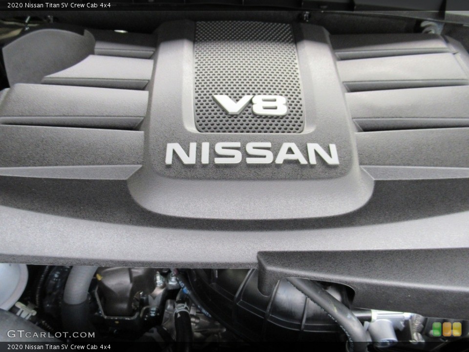 2020 Nissan Titan Custom Badge and Logo Photo #139667362