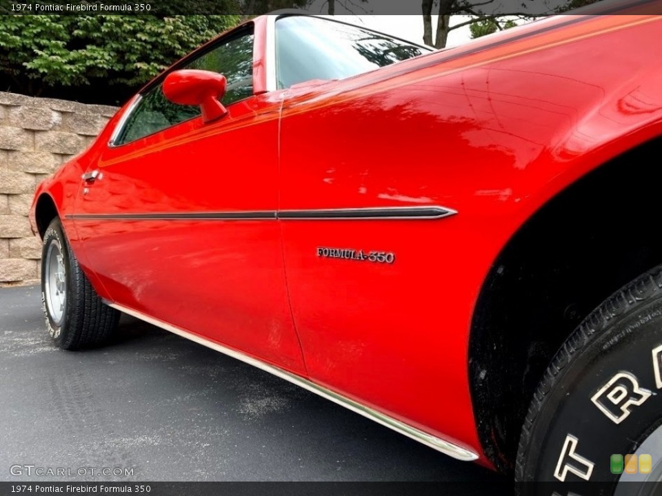 1974 Pontiac Firebird Custom Badge and Logo Photo #139775384