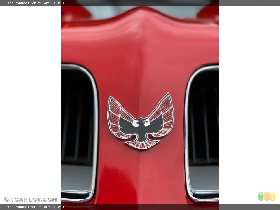 1974 Pontiac Firebird Custom Badge and Logo Photo #139776375
