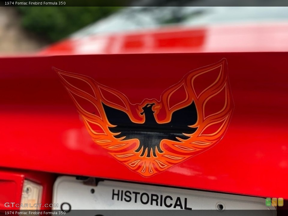 1974 Pontiac Firebird Custom Badge and Logo Photo #139776777