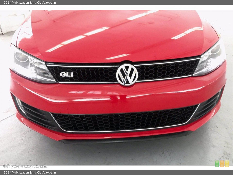 2014 Volkswagen Jetta Custom Badge and Logo Photo #139833756