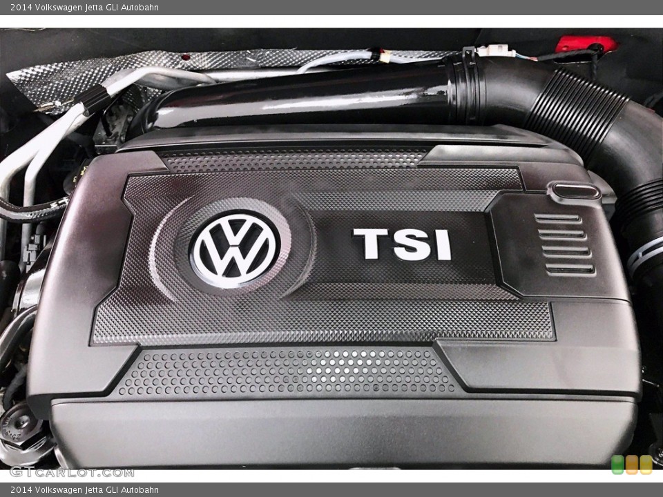 2014 Volkswagen Jetta Custom Badge and Logo Photo #139833792