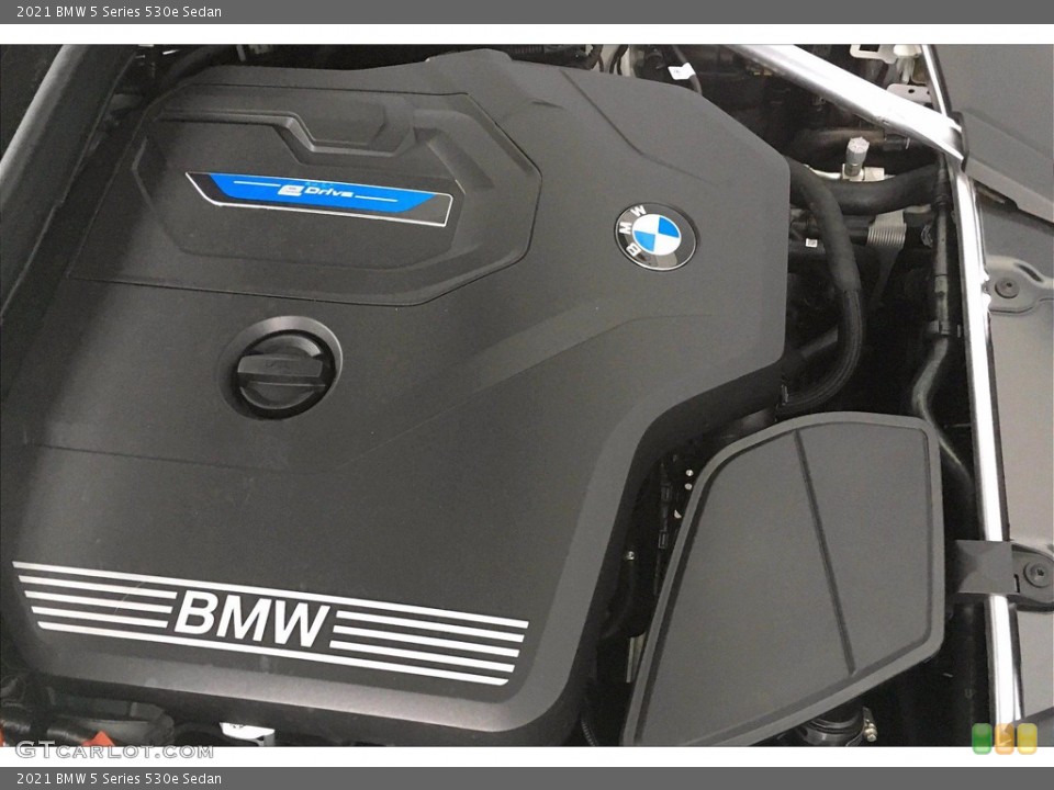 2021 BMW 5 Series Custom Badge and Logo Photo #139874766