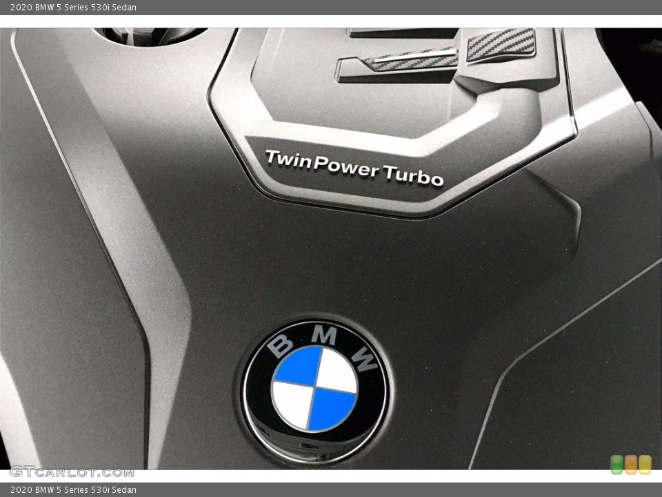 2020 BMW 5 Series Custom Badge and Logo Photo #139960055