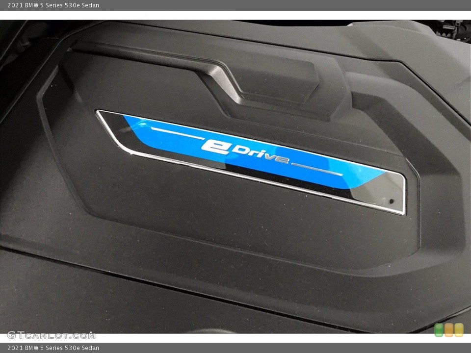 2021 BMW 5 Series Custom Badge and Logo Photo #140148575