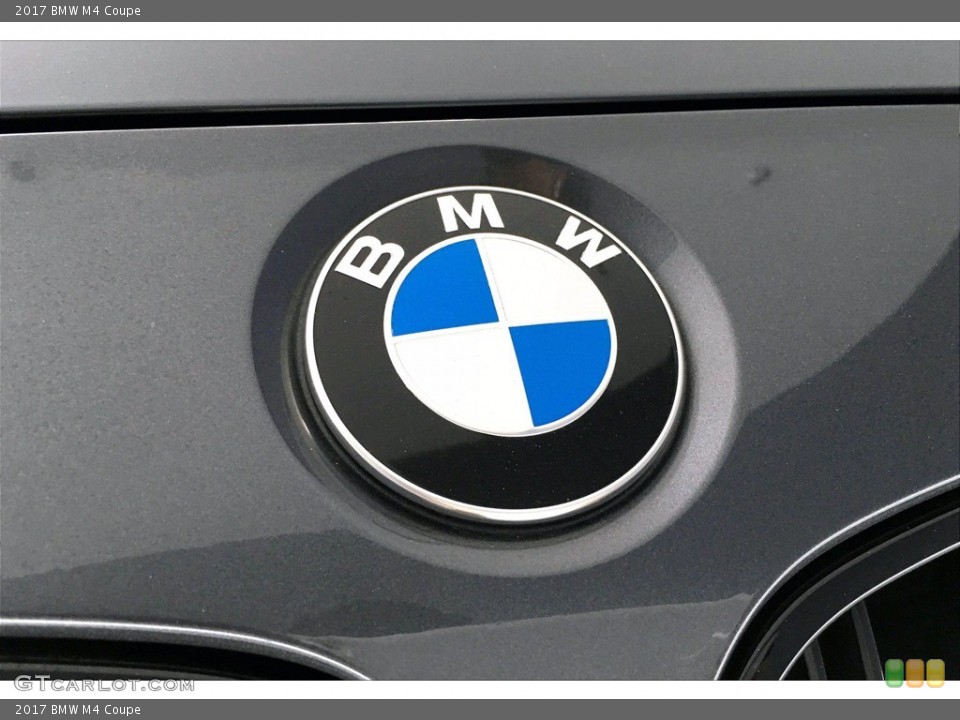 2017 BMW M4 Custom Badge and Logo Photo #140194587