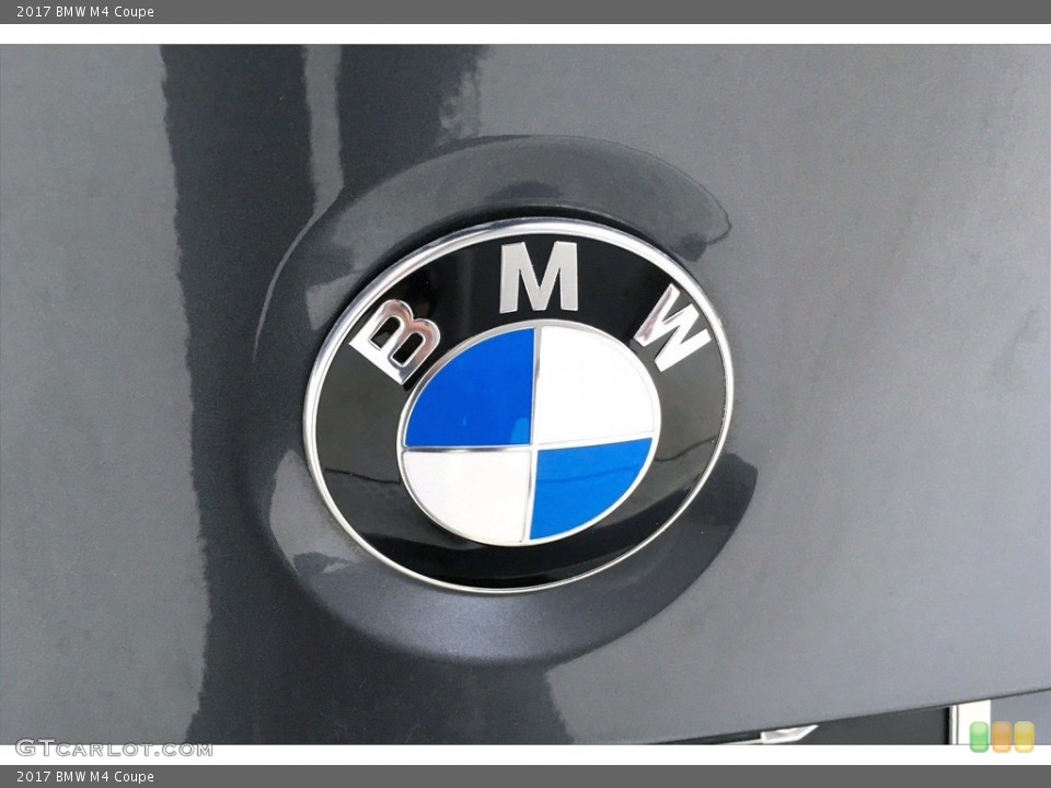 2017 BMW M4 Custom Badge and Logo Photo #140194605