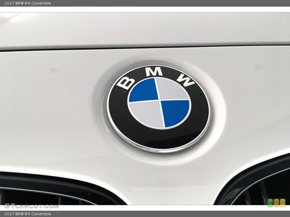 2017 BMW M4 Custom Badge and Logo Photo #140212833