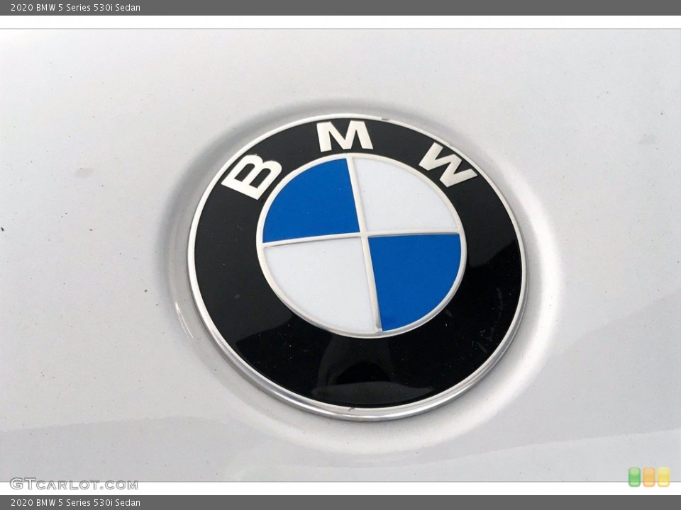 2020 BMW 5 Series Custom Badge and Logo Photo #140499525