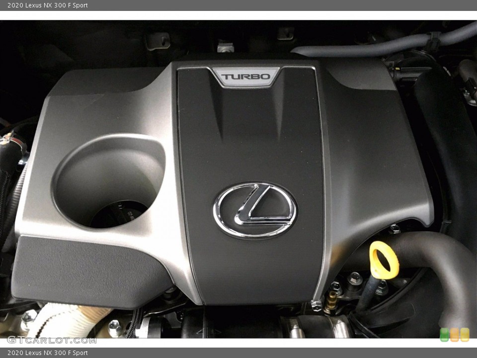 2020 Lexus NX Custom Badge and Logo Photo #140567928