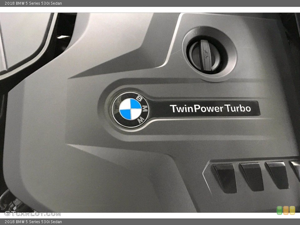 2018 BMW 5 Series Custom Badge and Logo Photo #140762104