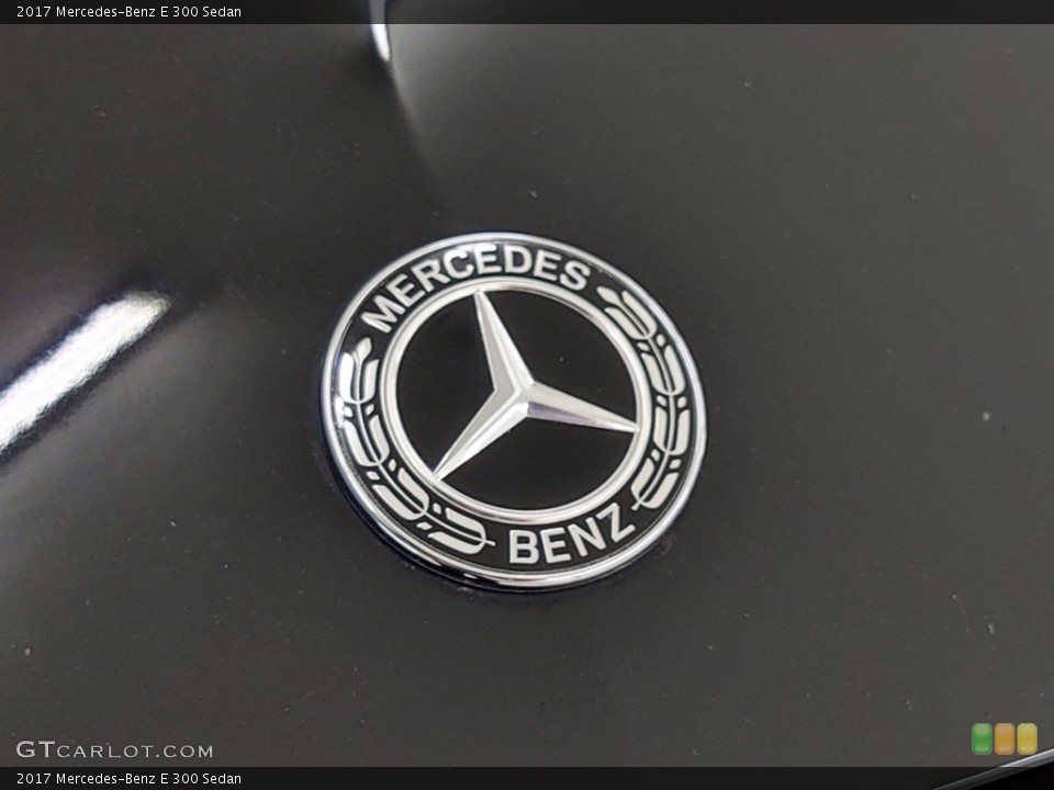 2017 Mercedes-Benz E Custom Badge and Logo Photo #141208391